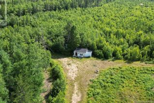 Cottage for Sale, 40.47 Hec Ch Sapin-Court, Rogersville, NB