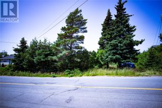 Commercial Land for Sale, 152-154 North River Road, North River, NL