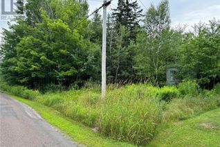 Property for Sale, 109 Painsec Junction Road, Lakeville, NB