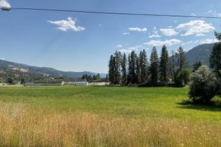 Vacant Residential Land for Sale, 410 Ninth Avenue, Midway, BC