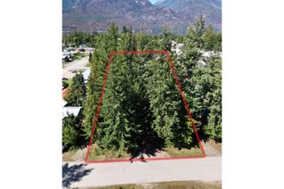 Property for Sale, Parcel C Columbia Street, New Denver, BC