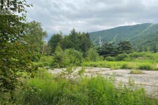 Land for Sale, 21-23 Dogwood Drive, Steady Brook, NL