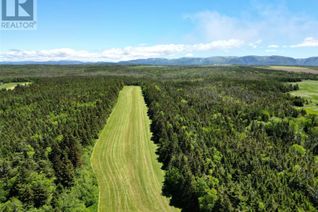 Commercial Land for Sale, 0 Block Road, Searston, NL