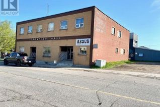 Commercial/Retail Property for Lease, 229 Pearl St, Thunder Bay, ON