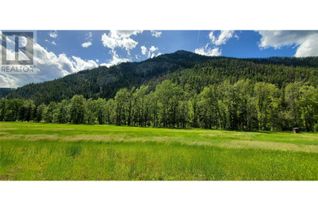 Land for Sale, Dl819s Hwy 33 Highway #S1/2, Westbridge, BC