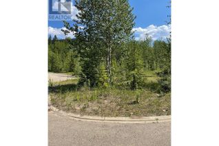 Land for Sale, 36 Wapiti Place, Tumbler Ridge, BC