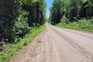 Commercial Land for Sale, 0 Mcnutt Road, Bonfield, ON