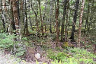 Property for Sale, 10b Cottage Lane, Pleasantfield, NS