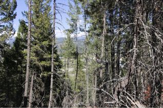 Vacant Residential Land for Sale, Lot 18 Osprey Landing Drive, Wardner, BC