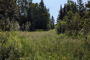 Land for Sale, 0 Oliver Creek Rd, Neebing, ON