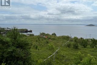 Commercial Land for Sale, 0 Lighthouse Road, Port de Grave, NL