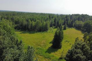 Land for Sale, Twp Rd 490a, Rural Brazeau County, AB