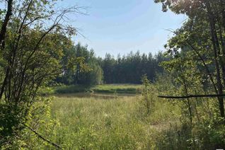 Commercial Land for Sale, Twp 490, Rural Brazeau County, AB