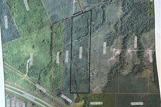 Commercial Land for Sale, Lot Painsec Settlement, Lakeburn, NB