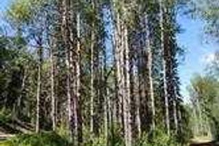 Land for Sale, Lot #7 Wapiti River Sw-21-69-10-W6, Rural Grande Prairie No. 1, County of, AB