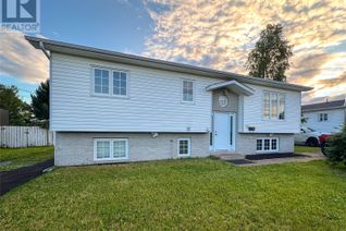 House for Sale, 52 Ireland Drive, Grand Falls-Windsor, NL