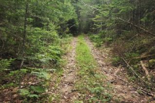 Commercial Land for Sale, Lot 29 Tupper Lake, Westfield, NS