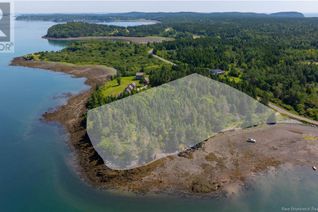 Land for Sale, -- Narrows Road, Welshpool, NB