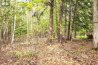 Commercial Land for Sale, Lot 504 Seneca Crescent, Tiny, ON