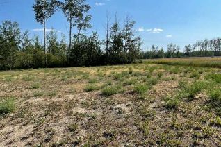 Commercial Land for Sale, 33 Chonkolay Drive, High Level, AB