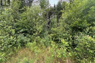 Commercial Land for Sale, Lot Pleasant Drive, Minto, NB