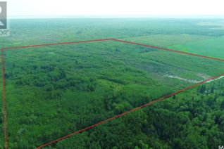 Property for Sale, Recreational Land N-E Of White Fox, Torch River Rm No. 488, SK