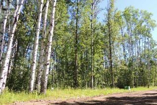 Land for Sale, Lot #20 Wapiti River Sw-21-69-10-W6, Rural Grande Prairie No. 1, County of, AB