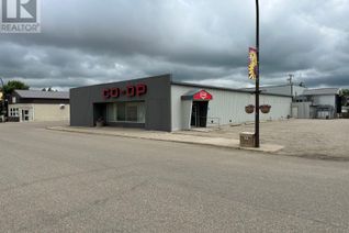 Other Non-Franchise Business for Sale, 203 Main Street, Eston, SK