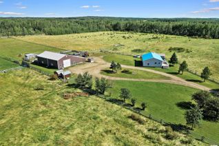 Detached House for Sale, 452057 Rge Rd 70a, Rural Wetaskiwin County, AB