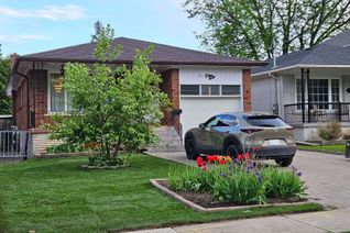 Detached House for Rent, 275 Hounslow Ave #Bsmt., Toronto, ON