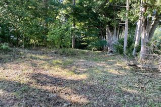 Land for Sale, 38 Park St, Clarington, ON