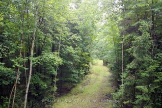 Vacant Residential Land for Sale, 0 Penzance Tr, Highlands East, ON