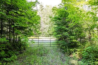 Land for Sale, 843 Lasswade Rd, North Kawartha, ON