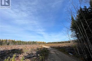 Property for Sale, 51.4 Hec Rte 108, Renous, NB