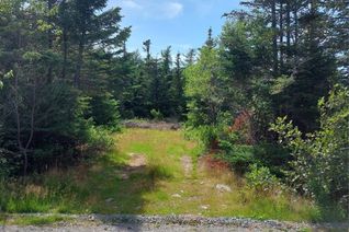 Commercial Land for Sale, 78-82 And 86-90a Larch Grove Road, Conception Bay South, NL