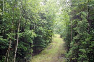 Land for Sale, 0 Penzance Trail, Highlands East, ON