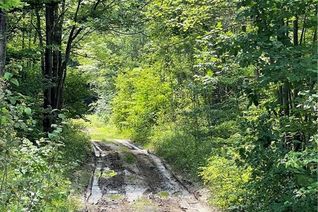 Land for Sale, 00 B Concession Road 4 Road, Plantagenet, ON