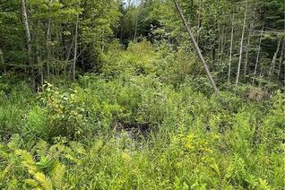 Property for Sale, 00 A1 Concession Road 4 Road, Plantagenet, ON