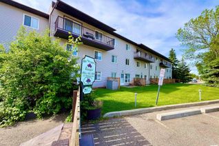 Condo Apartment for Sale, 210 237 Woodvale Rd W Nw, Edmonton, AB