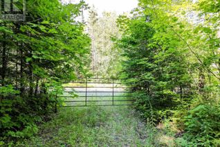 Land for Sale, 843 Lasswade Road, North Kawartha, ON