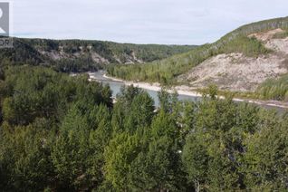 Land for Sale, 14 Wapiti River, Rural Grande Prairie No. 1, County of, AB