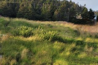 Land for Sale, 48 Old Settlement Hill, Freshwater Placentia, NL