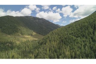 Land for Sale, Dl 15131 Sheep Crk Frst Rd, Salmo, BC