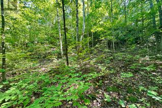 Land for Sale, 0 South Baptiste Lake Road, Hastings Highlands, ON