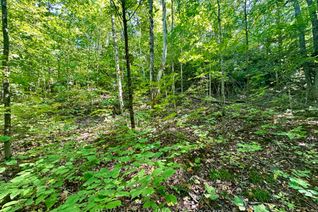 Vacant Residential Land for Sale, 0 South Baptiste Lake Rd, Hastings Highlands, ON