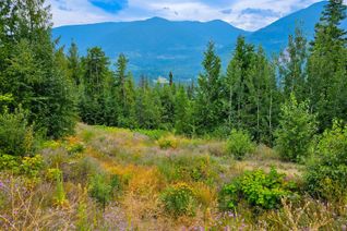 Vacant Residential Land for Sale, 421 Mountain View Drive, Balfour, BC