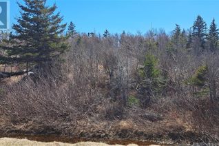 Commercial Land for Sale, 8.9hec-1 Rue Acadie, Grande-Anse, NB