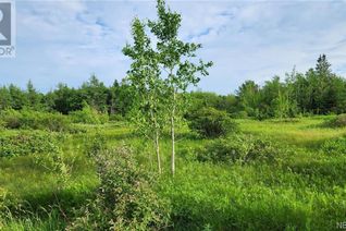 Land for Sale, 83 Acres Route 310, Lamèque, NB