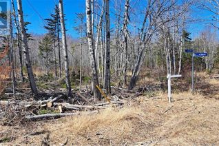 Land for Lease, 8.9hec-2 Ave Foret, Grande-Anse, NB