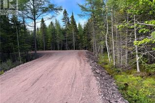 Land for Sale, 2725 Mc Route 350, Pokemouche, NB